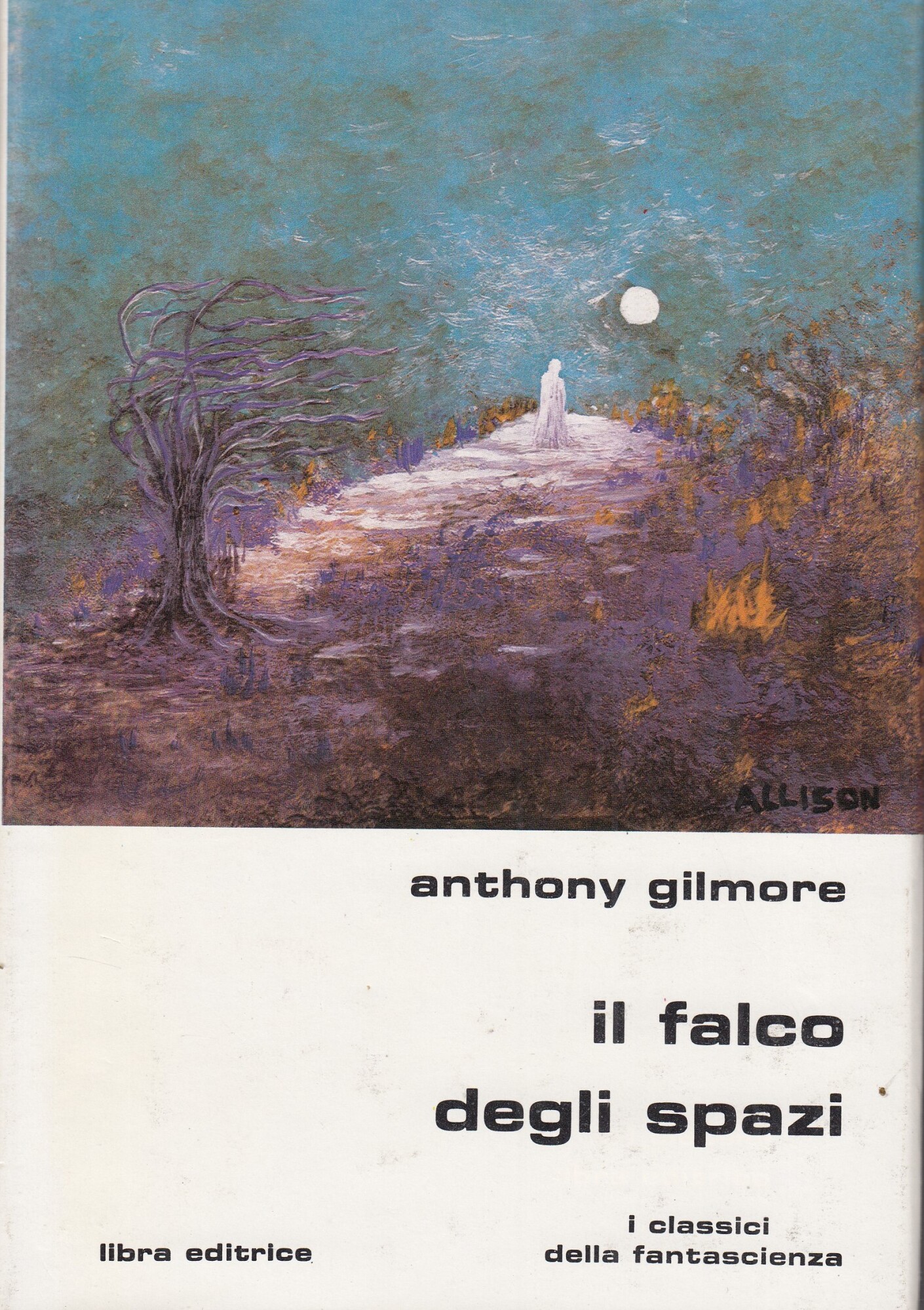 Il falco degli spazi.