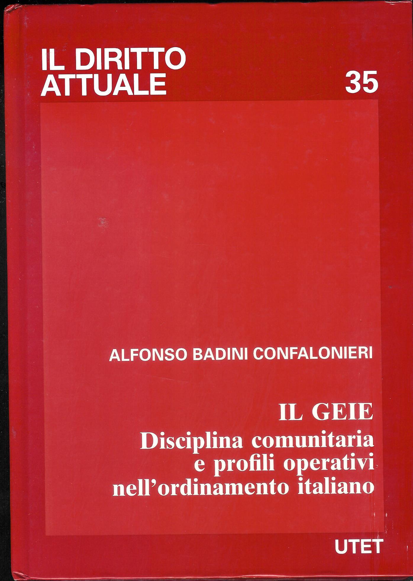 Il GEIE. Disciplina comunitaria e profili operativi nell'ordinamento italiano