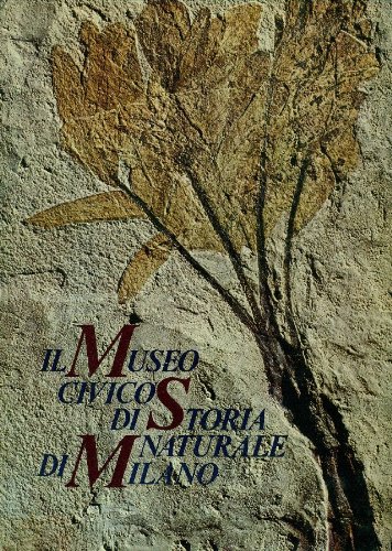 Il Museo Civico di Storia Naturale di Milano