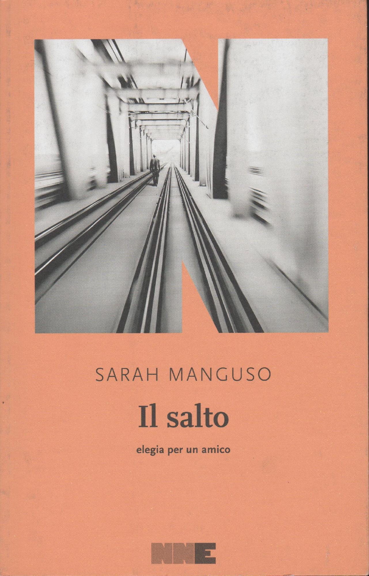 Il salto : elegia per un amico