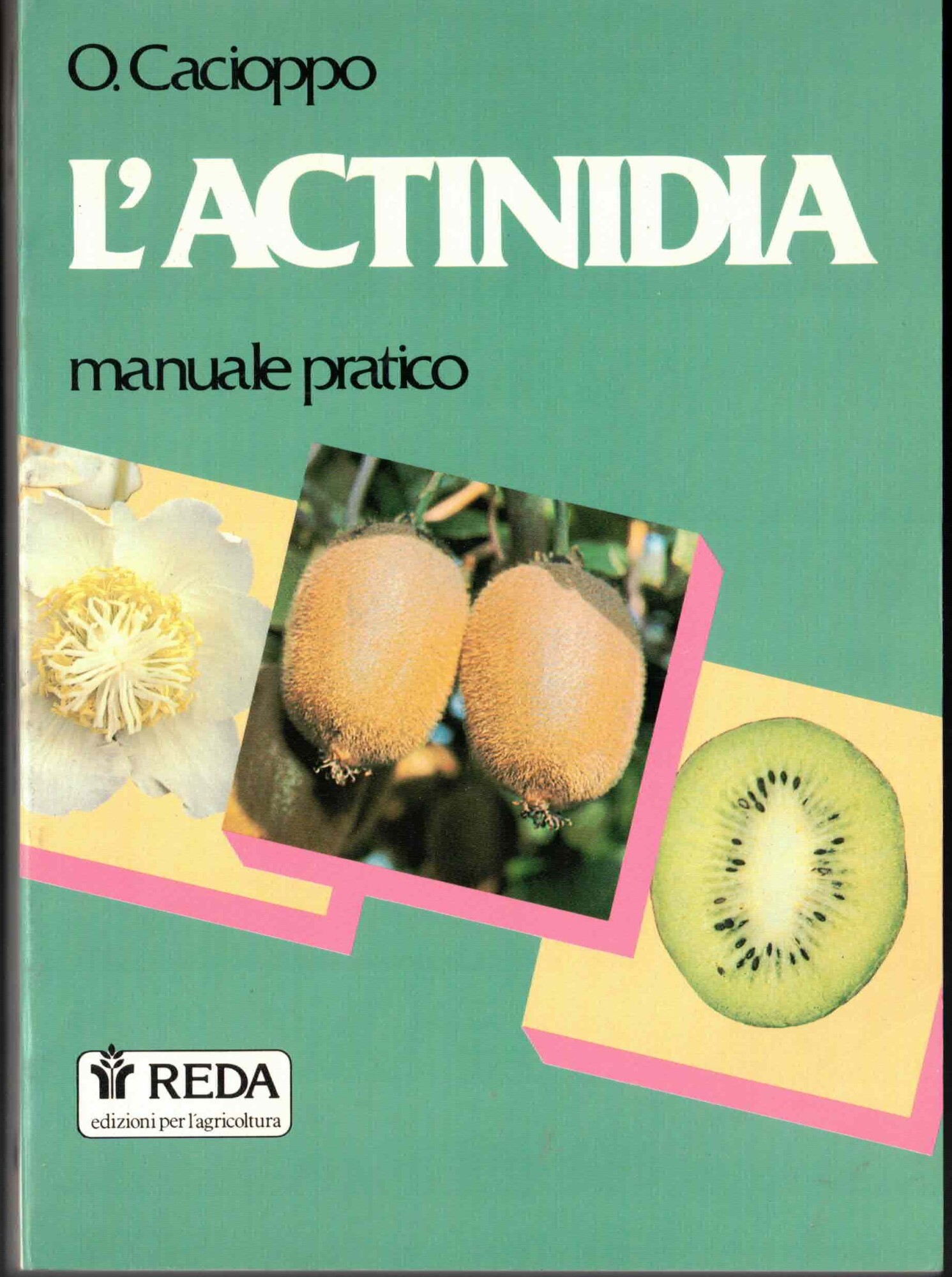 L'Actinidia-manuale pratico