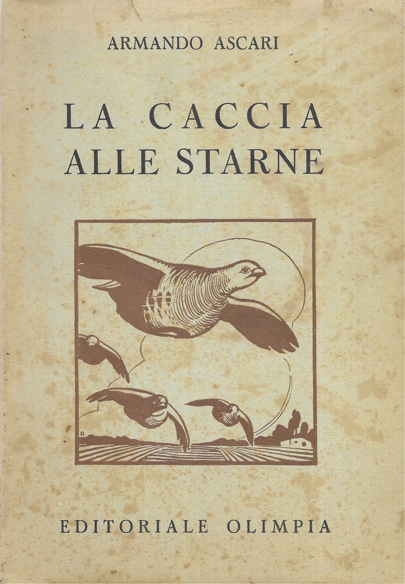 La caccia alle starne