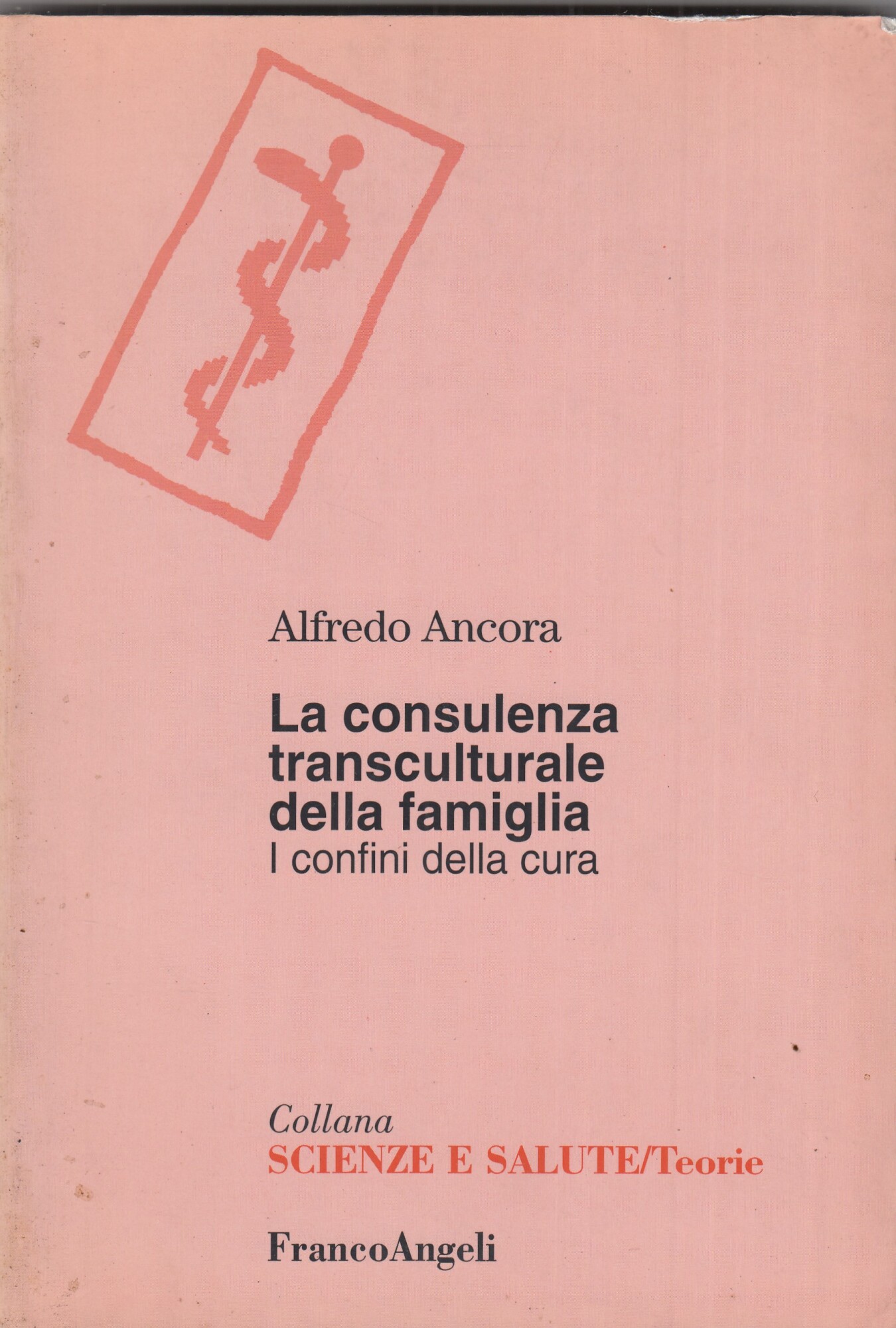 La consulenza transculturale della famiglia. I confini della cura
