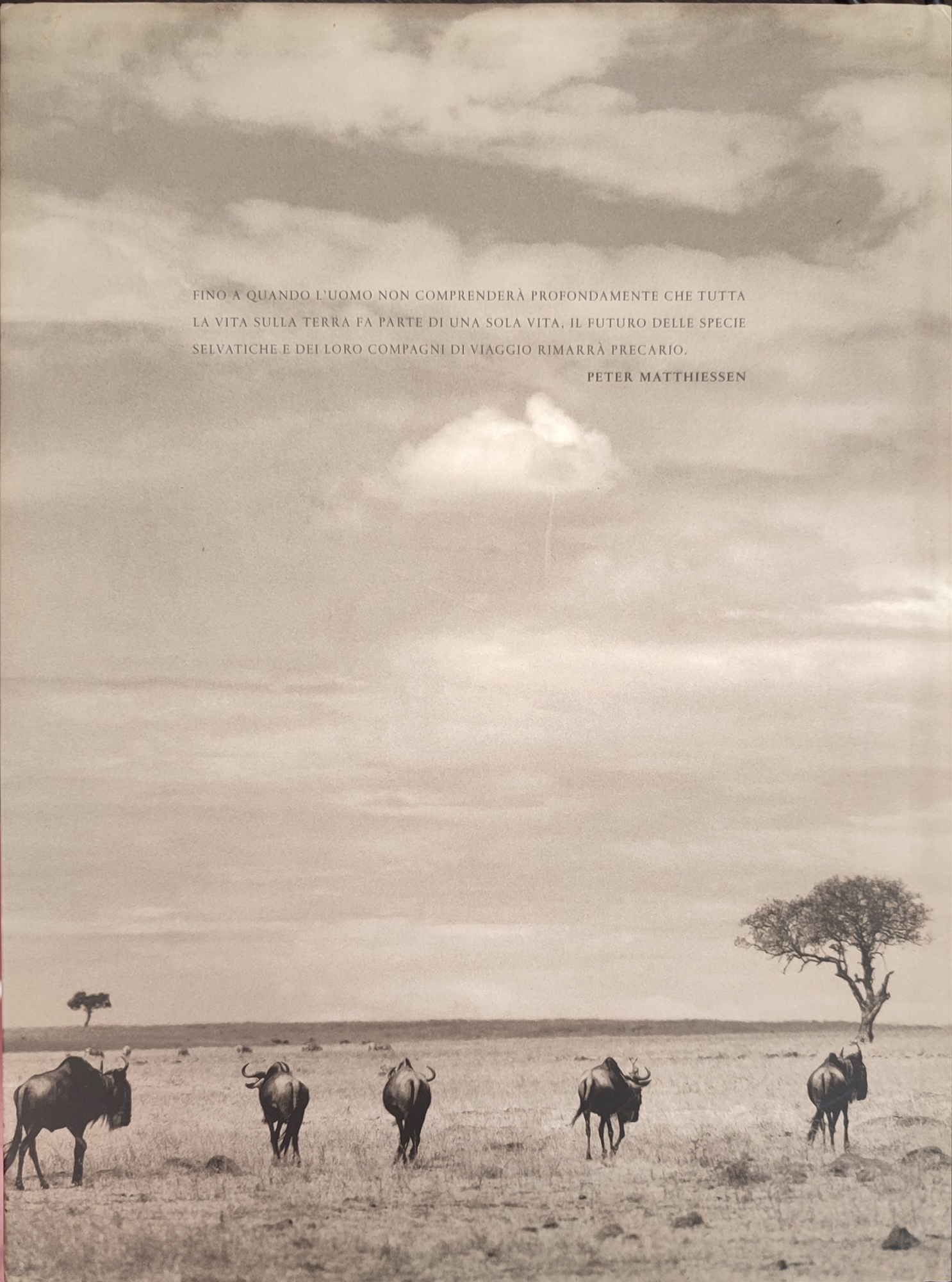 La grande migrazione