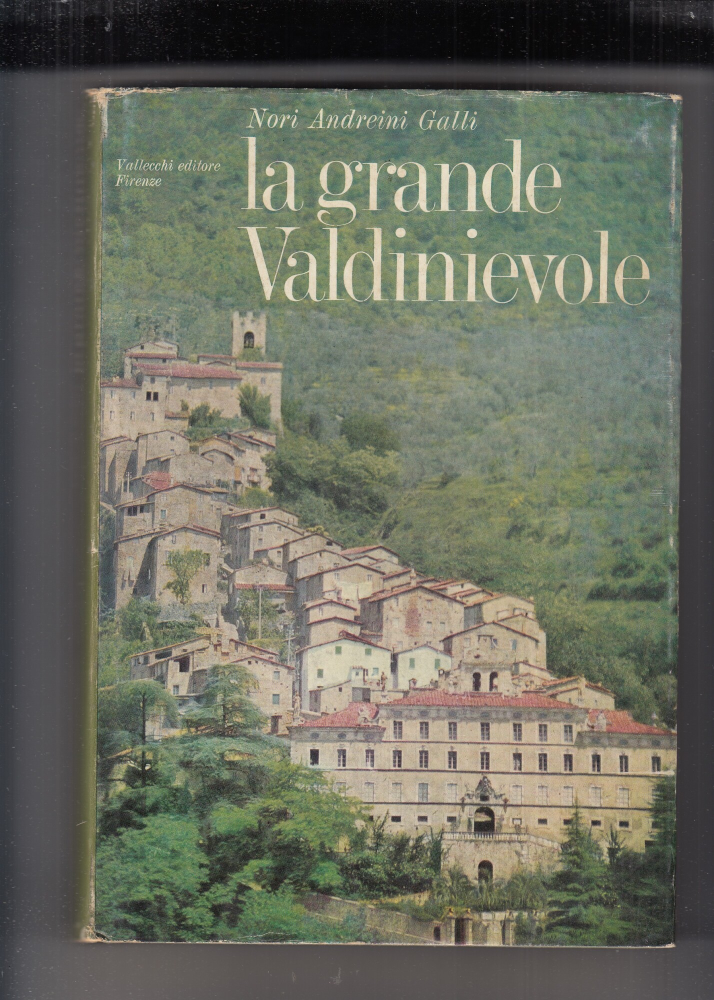 LA GRANDE VALDINIEVOLE.