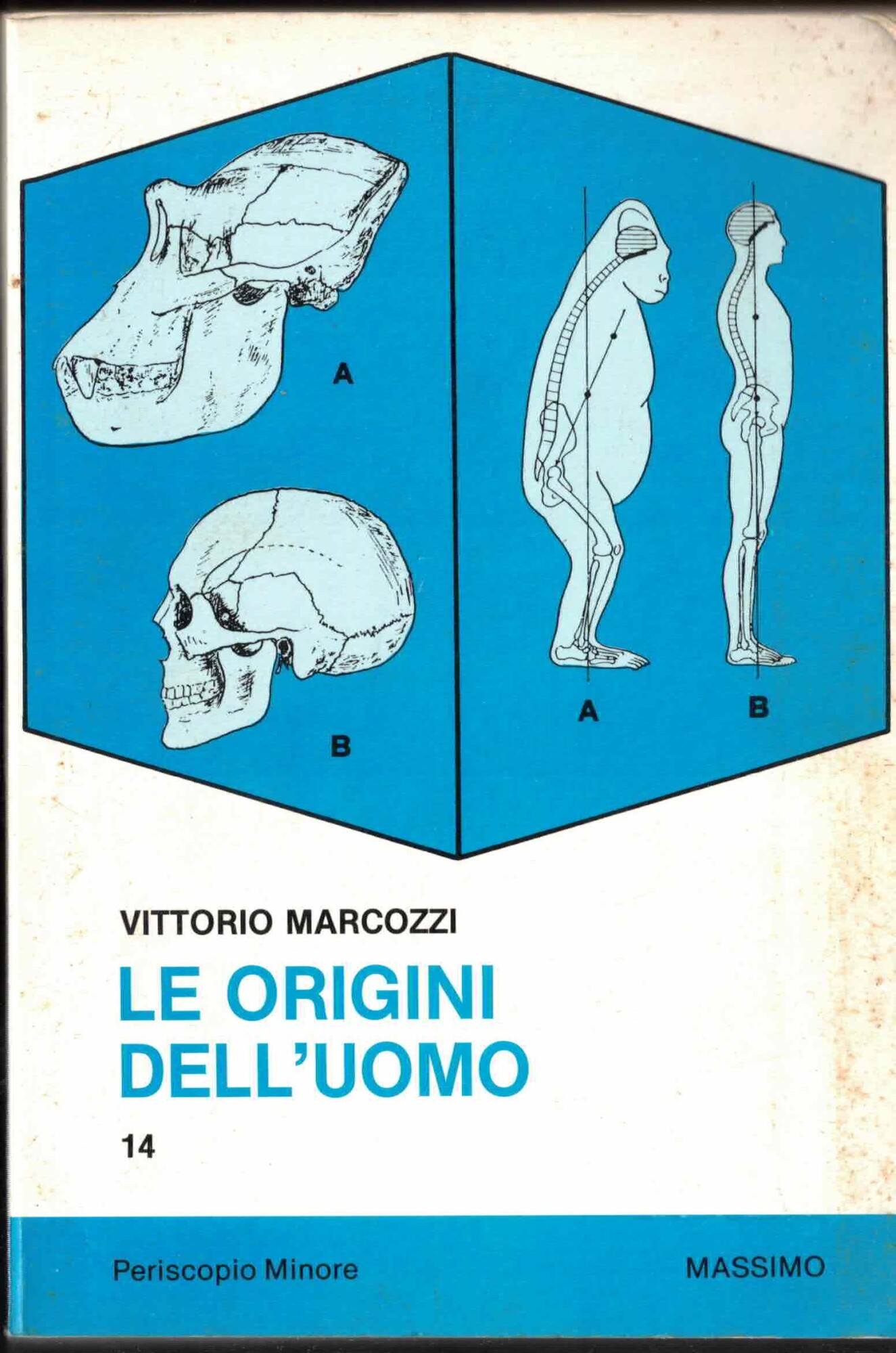 Le origini dell'uomo. L'evoluzione oggi