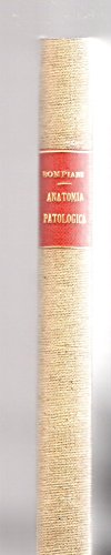 Lineamenti di Anatomia Patologica 1952