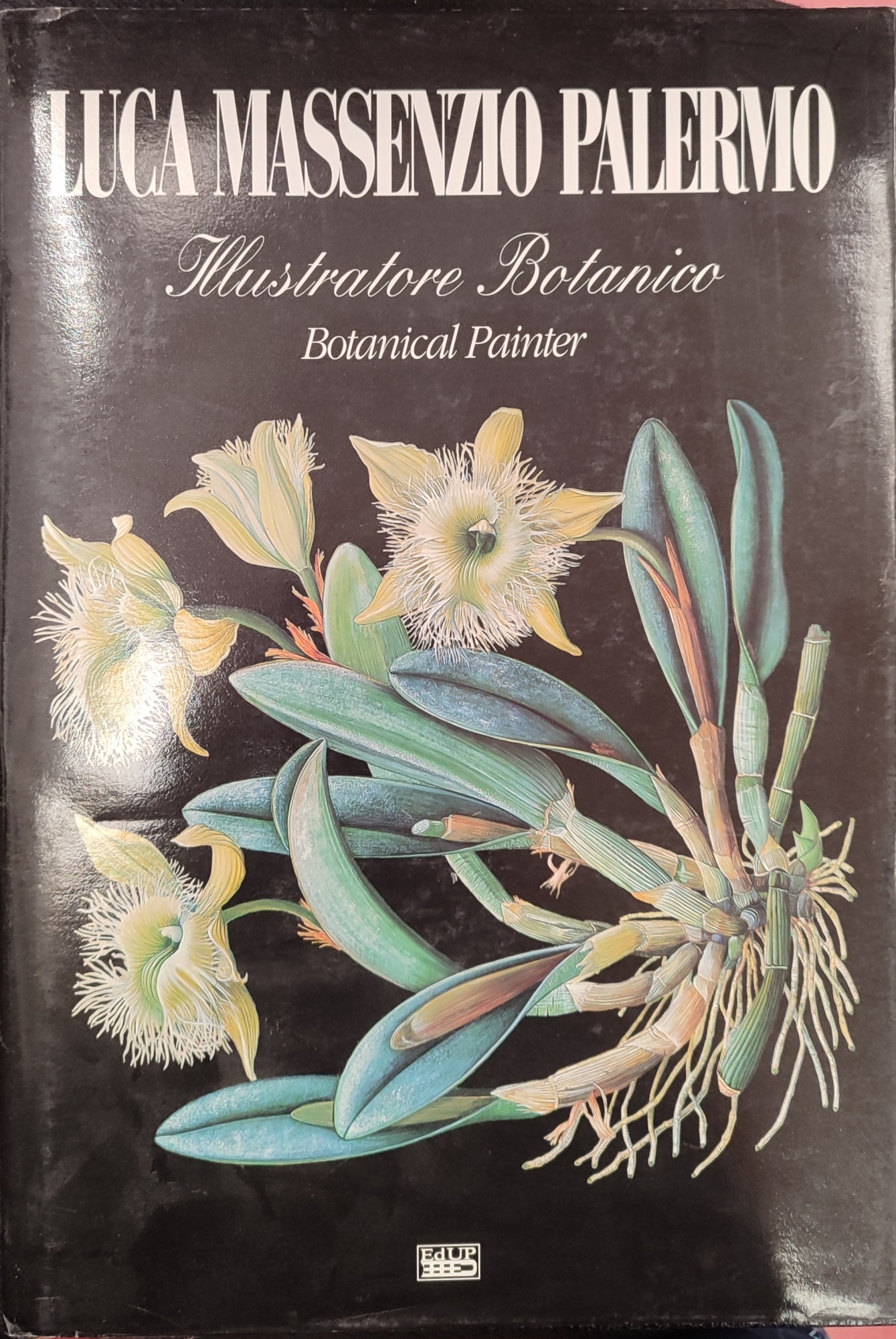 Luca Massenzio Palermo. Illustratore botanico-Botanical painter