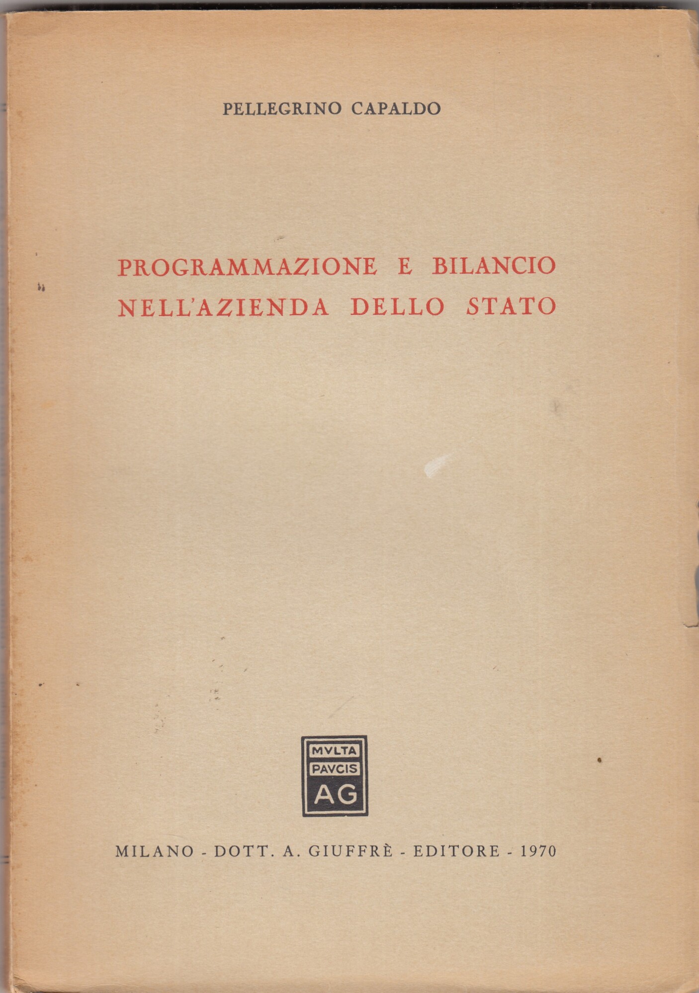 Programmazione e bilancio nell'azienda dello stato.