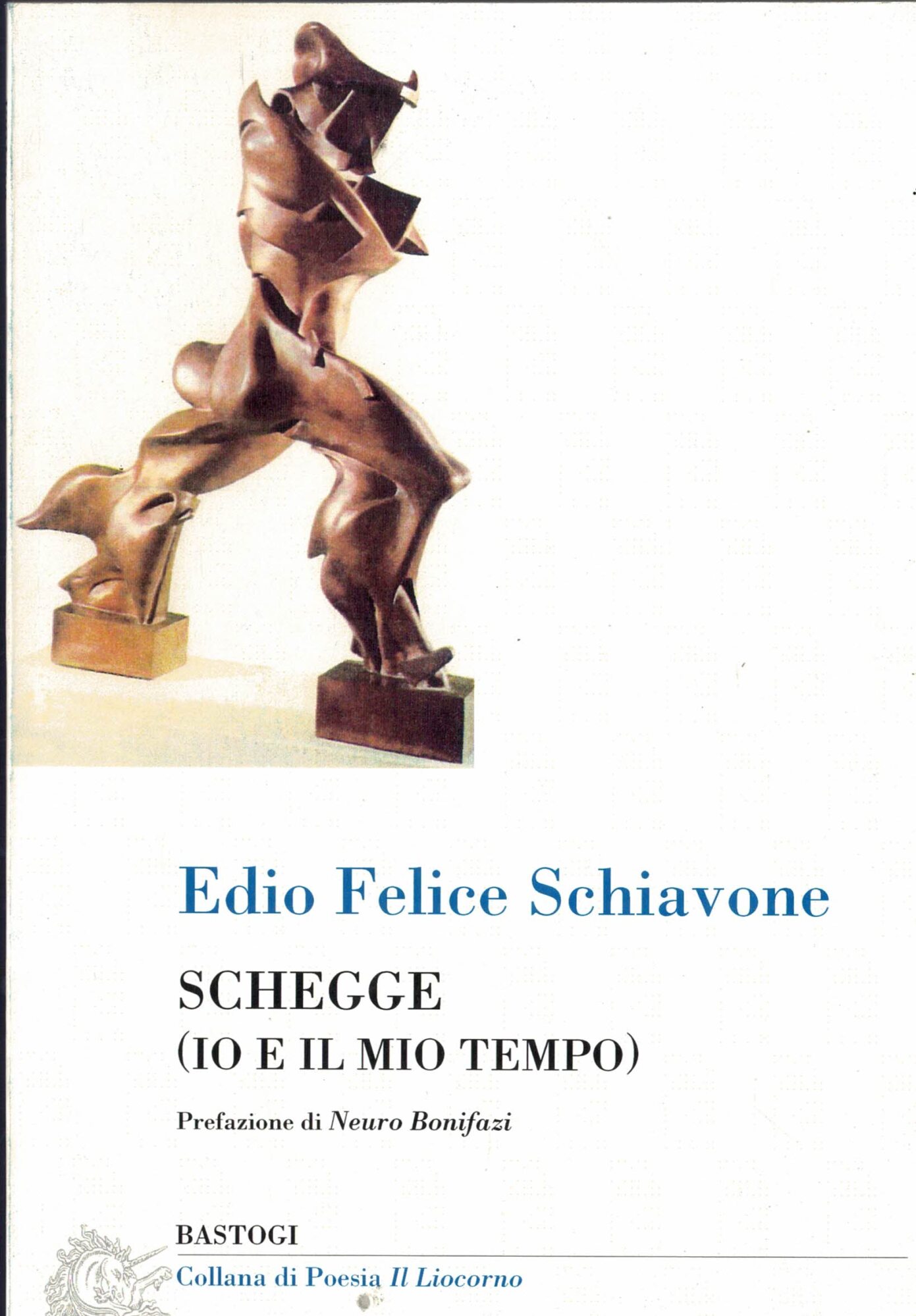 Schegge (io e il mio tempo)