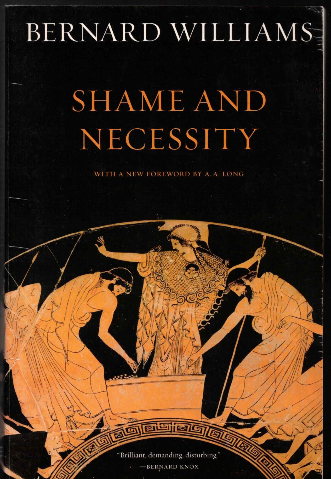 Shame and Necessity [Lingua inglese]