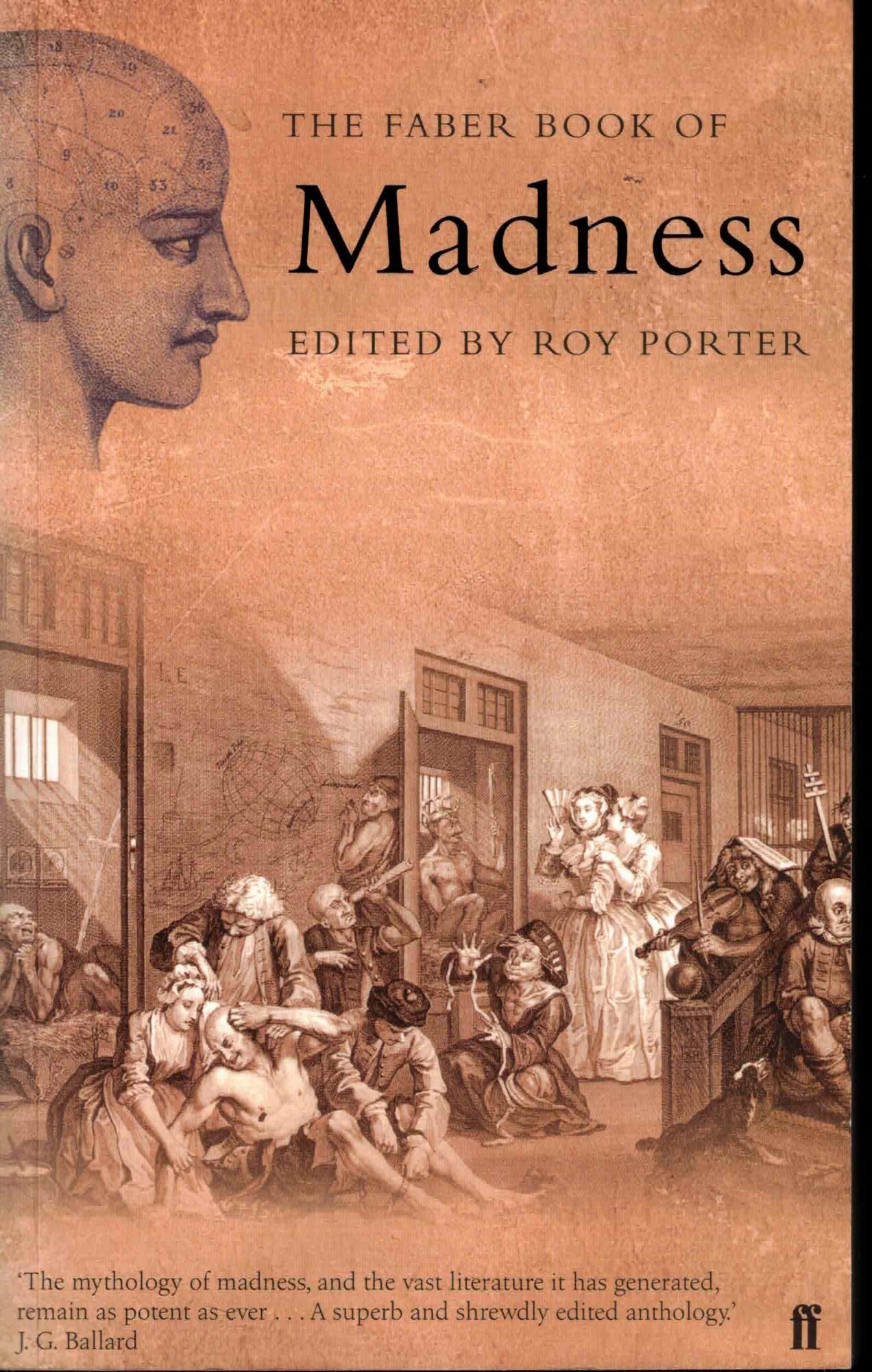 The Faber Book of Madness