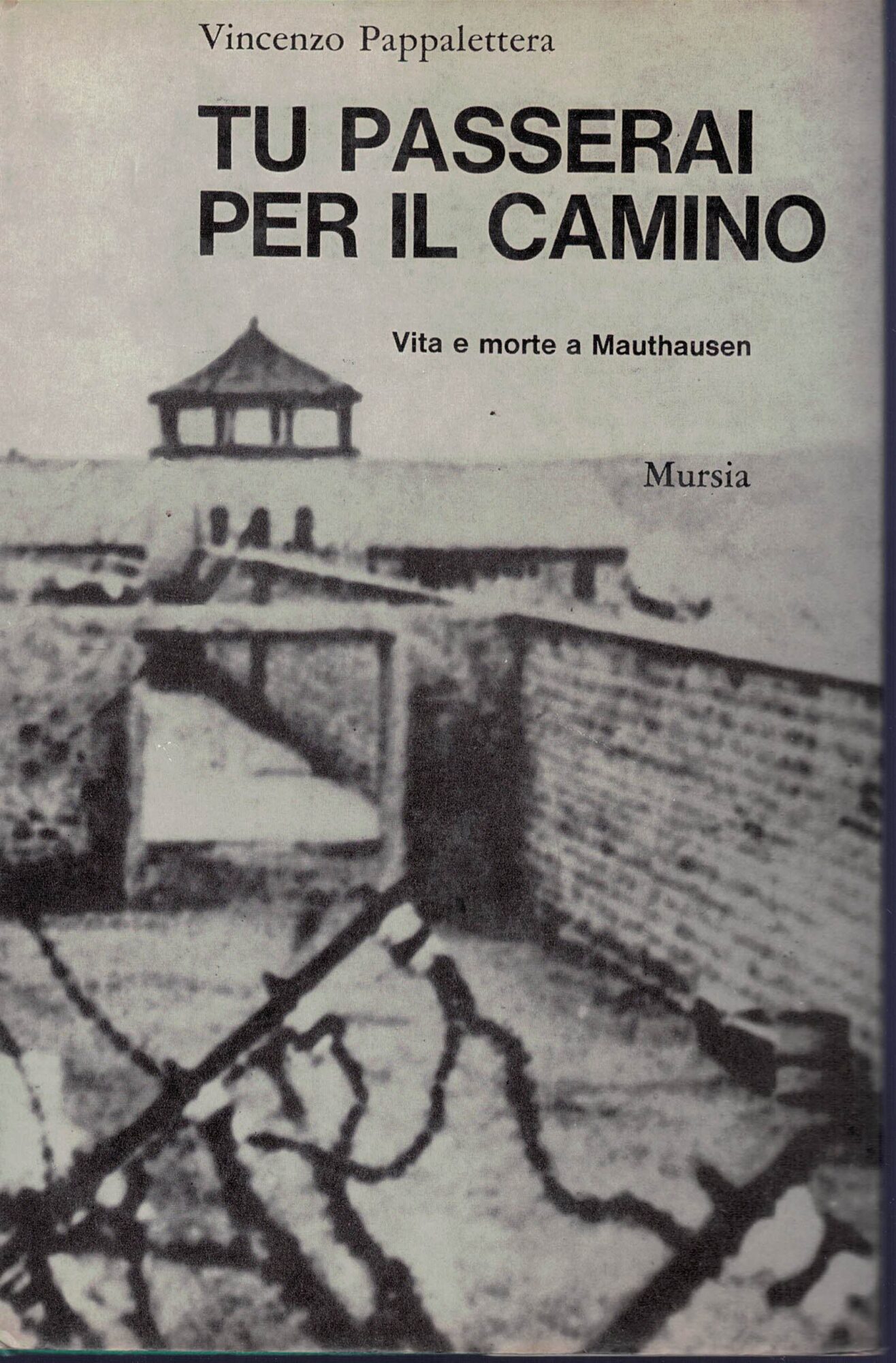 TU PASSERAI PER IL CAMINO