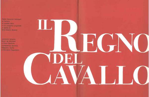 Il regno del cavallo