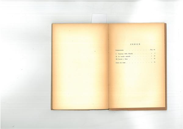 Natura e società in David Hume