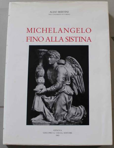 Michelangelo fino alla Sistina
