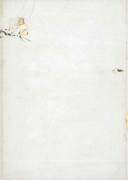 La bonificazione parmigiana Moglia