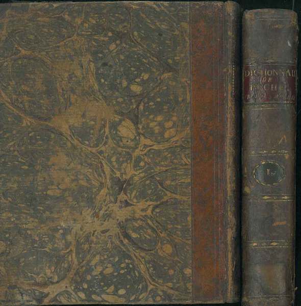 Nouveau dictionnaire de poche français-allemand et allemand-français à l'usage des …