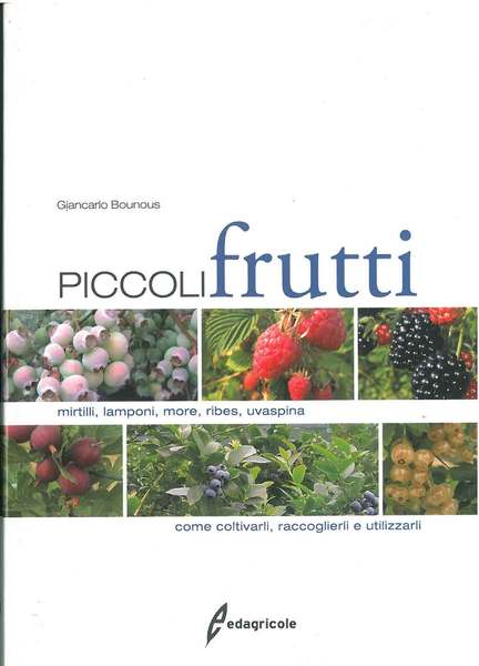 Piccoli frutti. Mirtilli, lamponi, more, ribes, uvaspina. Come coltivarli, raccoglierli, …