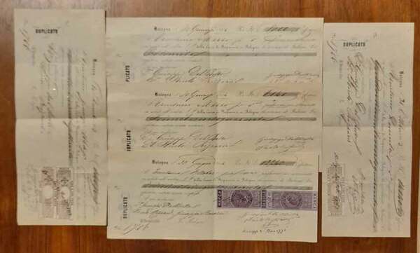 Pagheremo noi sottoscritti in solido all'ordine S. P. della Cassa …