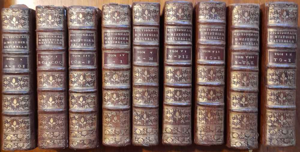 Dictionnaire raisonné universel d'histoire naturelle, contenant l'histoire des animaux, des …