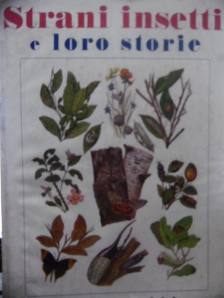 strani insetti e loro storie A.HYATT VERRILL CORTICELLI 1942