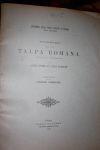 Talpa Romana Orfield Thomas Lorenzo Camerano 1903 carlo clausen