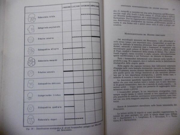 MIOCENE SIRACUSANO STRATIGRAFIA MICROPALEONTOLOGICA BOLLETTINO SOC.GEOLOGICA ITAL. 1958 FASCICOLO 1