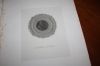 ANDREA DORIA RITRATTO INCISIONE 1854 ED.DUCCI