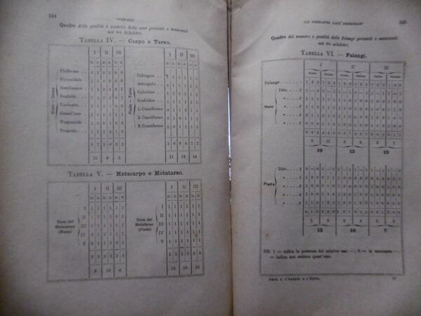 GLI SCHELETRI SANT'AMBROSIANI ANTROPOLOGIA PAOLO MANTEGZZA 1871 FASC. III VOLUME …