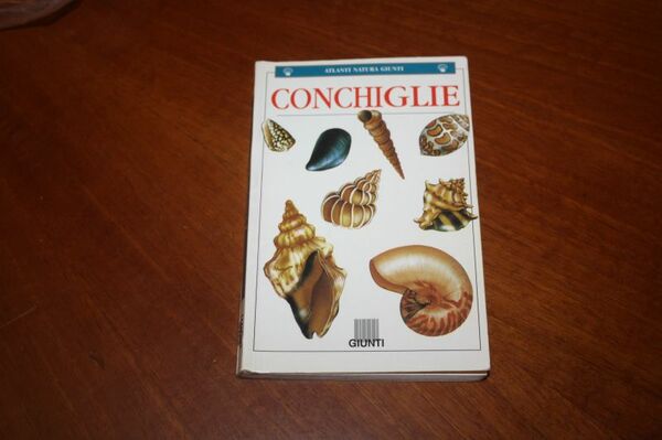CONCHIGLIE CESARE CONCI E FERNANDO GHISOTTI ILLUSTRAZIONI DI NATALINO ARFELLI …