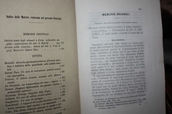 DELIRIO ACUTO DEGLI ALIENATI A FORMA MELANCONICO STUPIDA G.MAJORFI MANICOMIO …