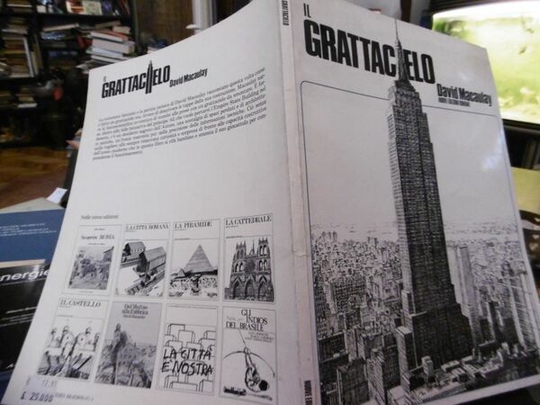 IL GRATTACIELO DAVID MACUALAY