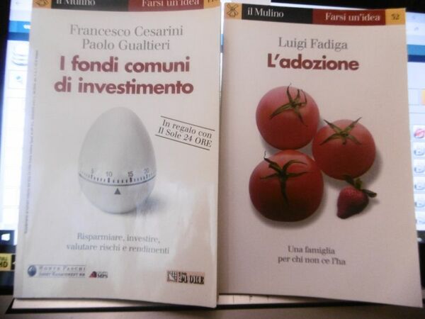 L'ADOZIONE -- I FONDI COMUNI DI INVESTIMENTO IL MULINO DUE …