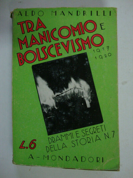 Tra manicomio e bolscevismo (1917 - 1920)