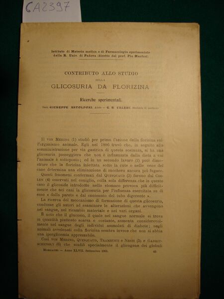 Contributo allo studio della glicosuria da Florizina - Ricerche sperimentali