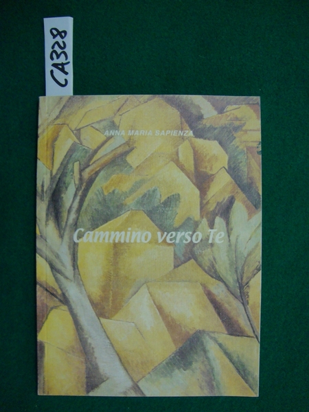 Cammino verso Te