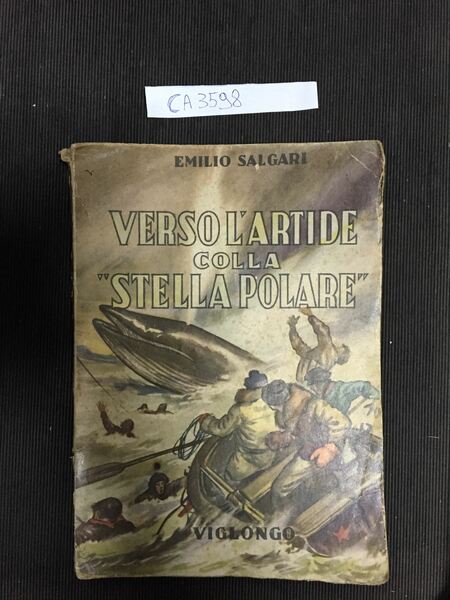 Verso l'Artide colla - Stella Polare -