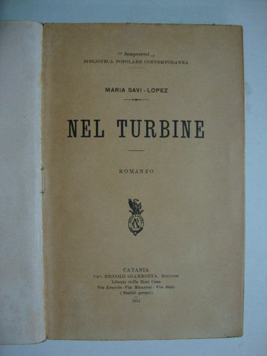 Nel turbine
