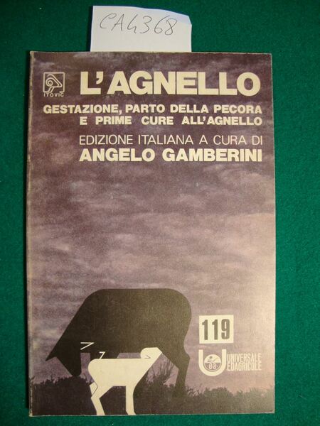L'agnello - Gestazione, parto della pecora e prime cure all'agnello