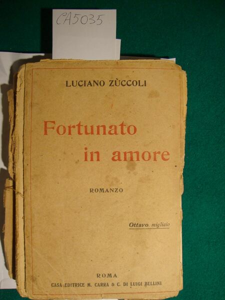 Fortunato in amore - Romanzo