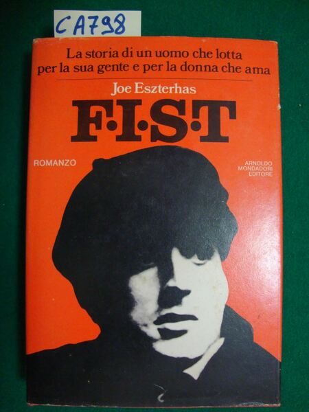 F.I.S.T. - La storia di un uomo che lotta per …