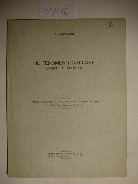 Il fenomeno gallare - Considerazioni etiologiche
