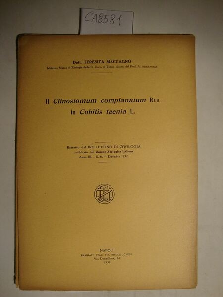 Il Clinostomum complanatum Rud. in Cobitis taenia L.