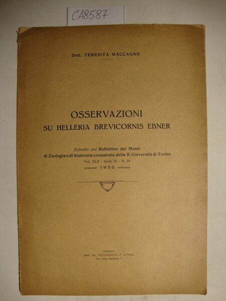 Osservazioni su helleria brevicornis ebner