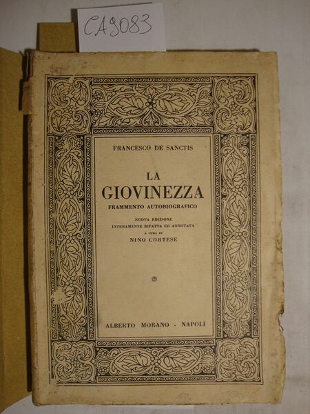 La giovinezza - Frammento autobiografico