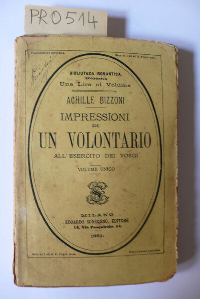 Impressioni di un volontario all'esercito dei Vosgi