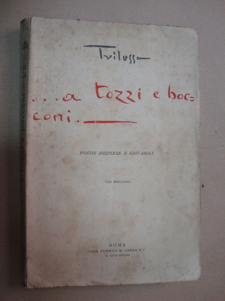 …a tozzi e bocconi (Poesie giovanili e disperse)