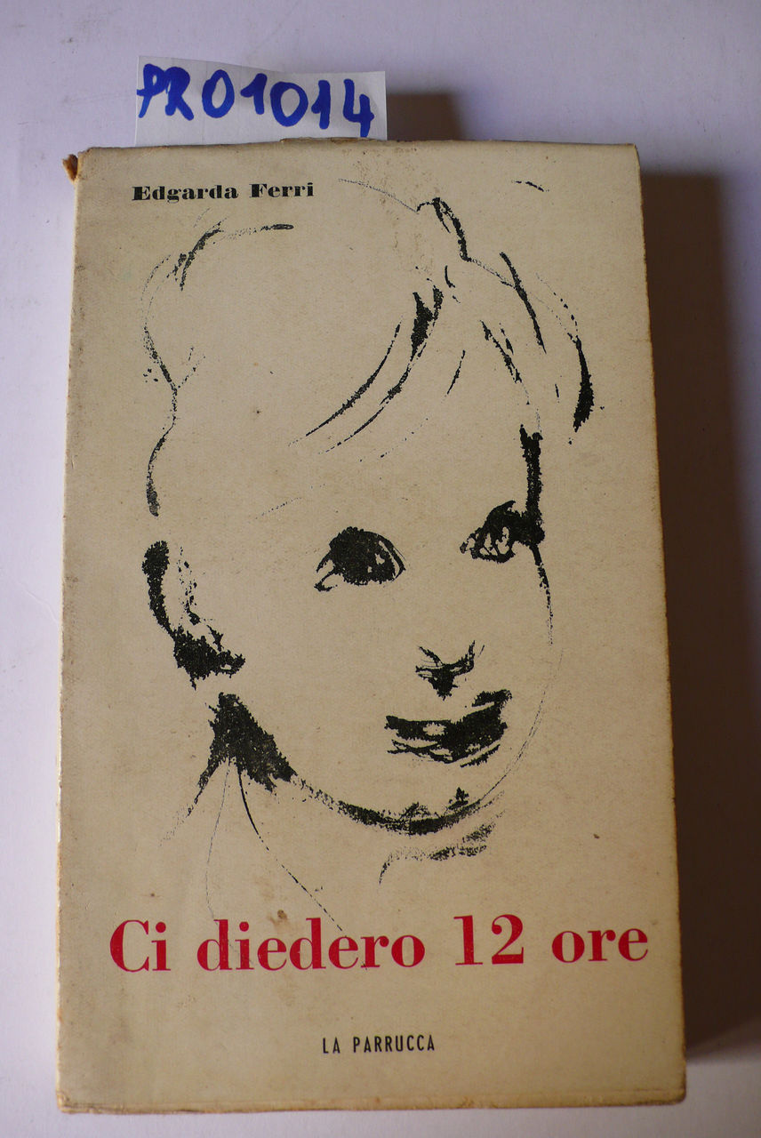 Ci diedero 12 ore, romanzo