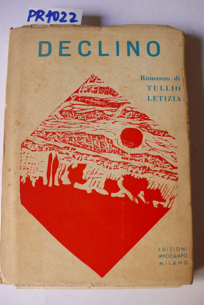 Declino, romanzo